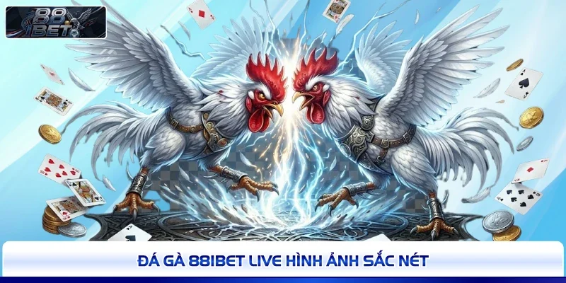 Đá gà 88IBET live hình ảnh sắc nét 