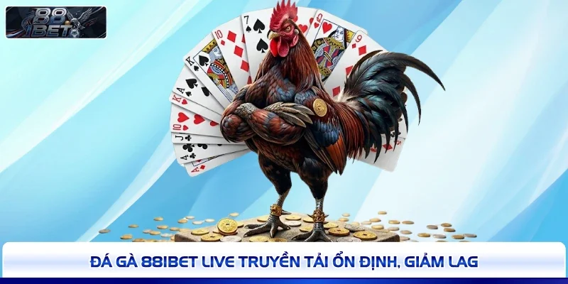 Đá gà 88IBET live truyền tải ổn định, giảm lag 