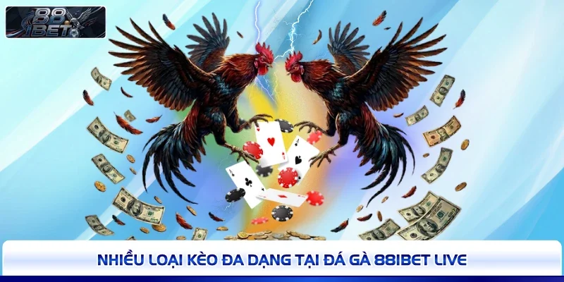 Nhiều loại kèo đa dạng tại đá gà 88IBET live
