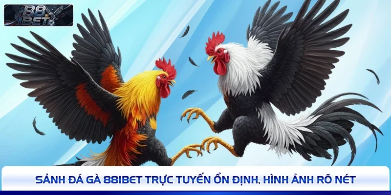 Sảnh đá gà 88IBET trực tuyến ổn định, hình ảnh rõ nét 