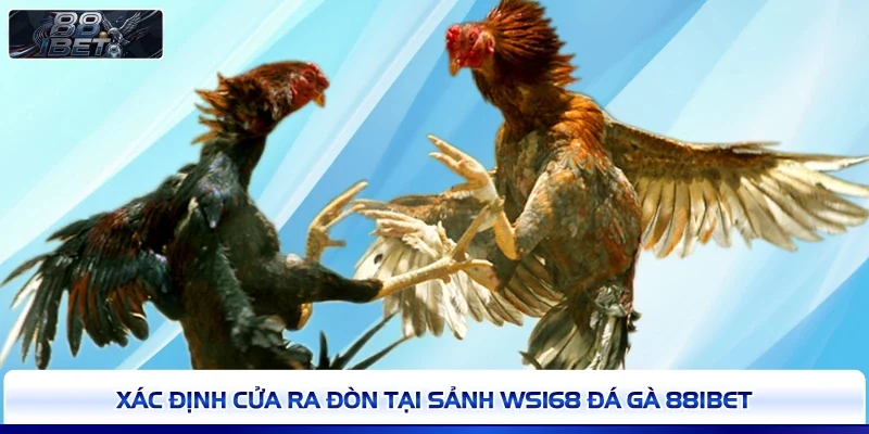 Xác định cửa ra đòn tại sảnh WS168 đá gà 88IBET
